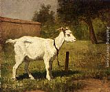 Henriette Ronner-knip Famous Paintings - A Goat In A Meadow